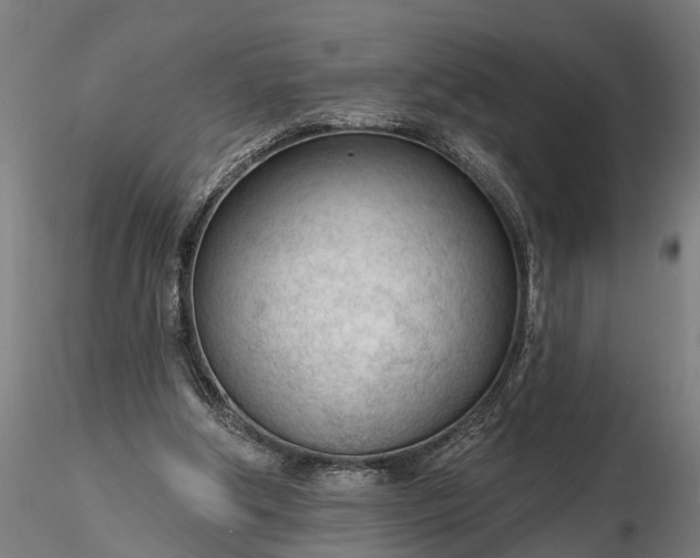 X0000116340202200912151336