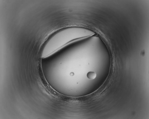 X0000116340203200912151336