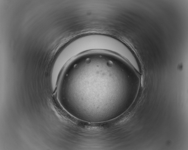 X0000116340205200912151336