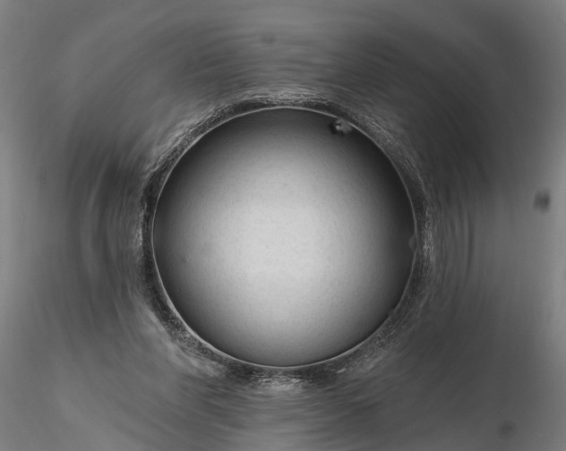 X0000116340206200912151336