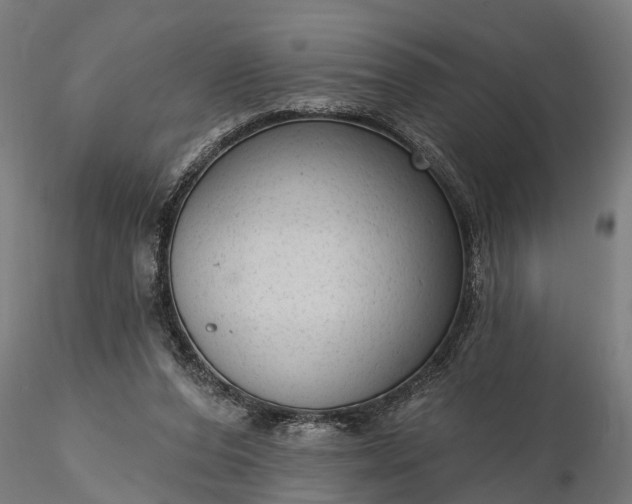 X0000116340208200912151335