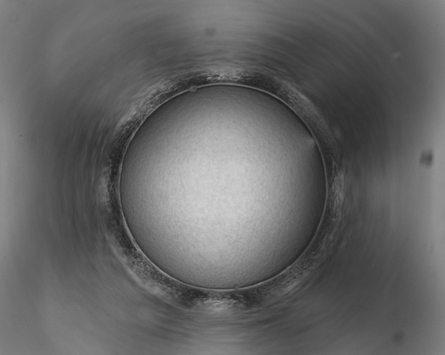 X0000116340209200912151335