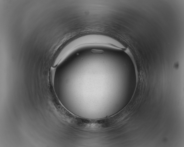 X0000116340212200912151335