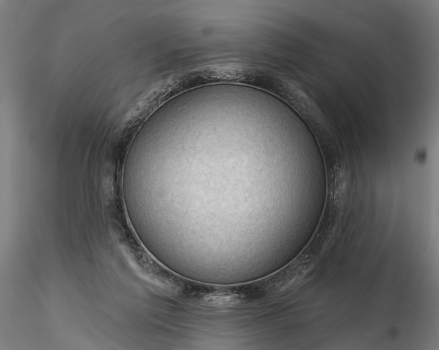 X0000116340213200912151335