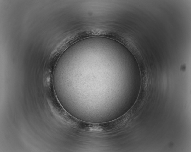 X0000116340214200912151335