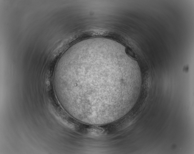 X0000116340215200912151335