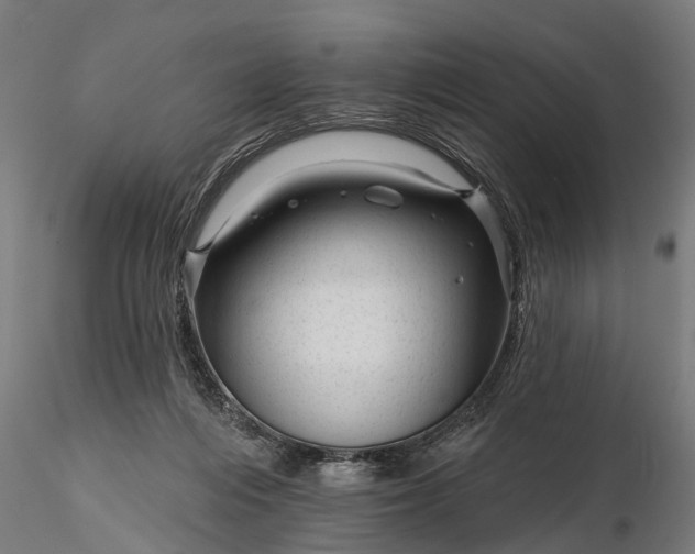 X0000116340216200912151335