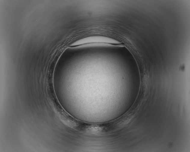 X0000116340217200912151335