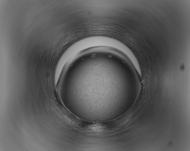 X0000116340219200912151335