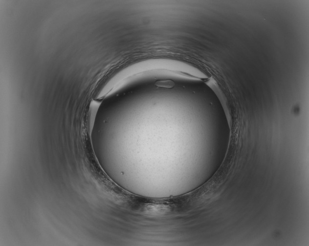 X0000116340220200912151335