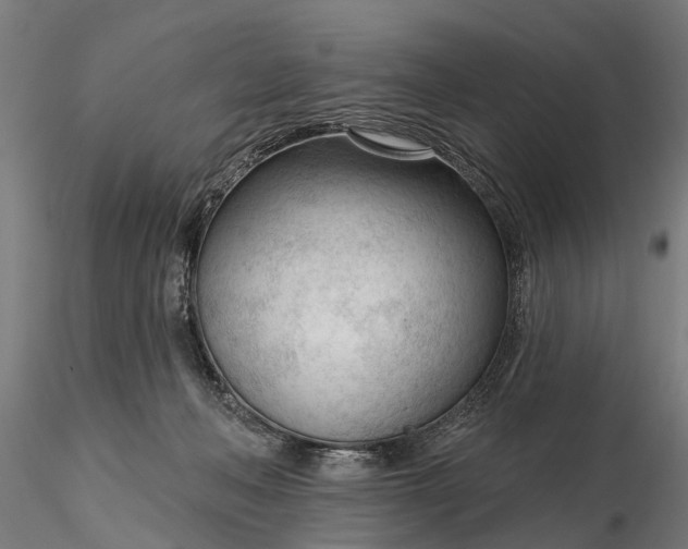 X0000116340222200912151335