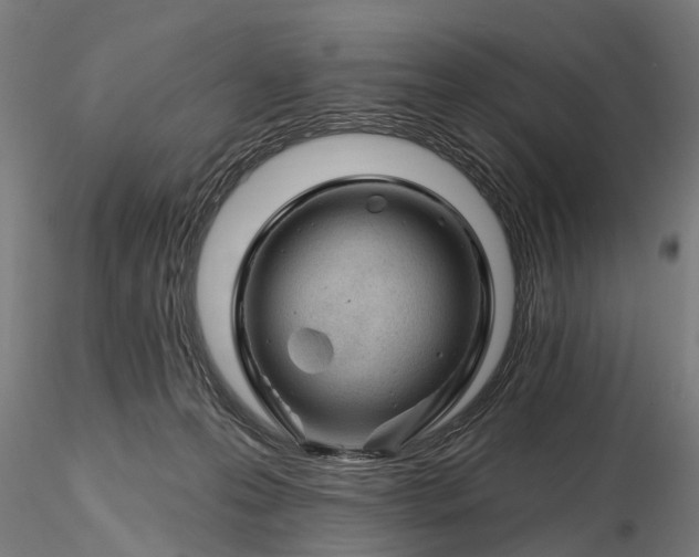 X0000116340223200912151335