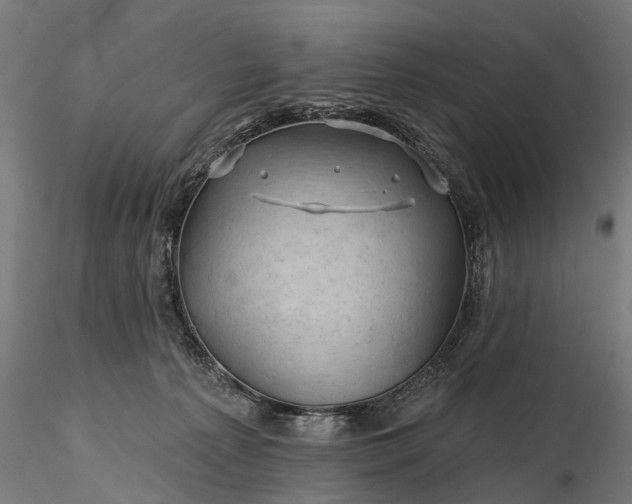 X0000116340225200912151335