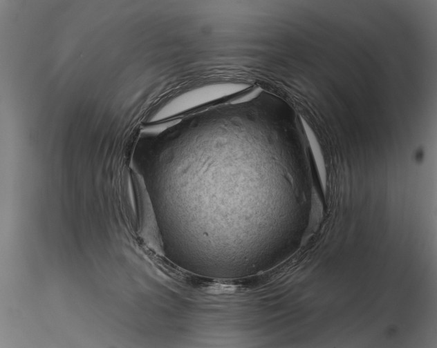 X0000116340227200912151335