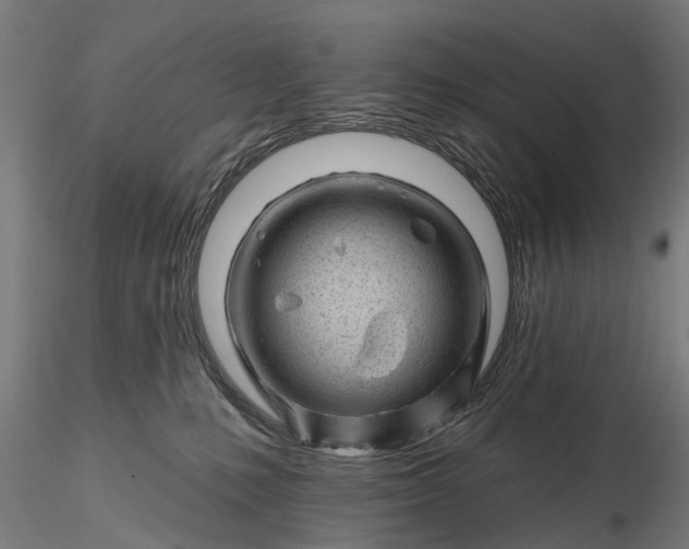 X0000116340231200912151335