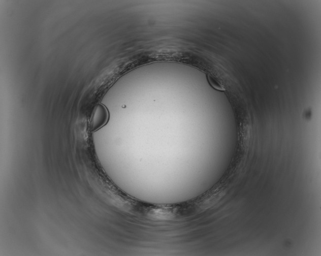 X0000116340232200912151335