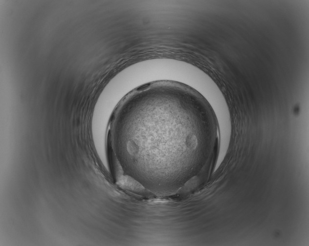 X0000116340235200912151335