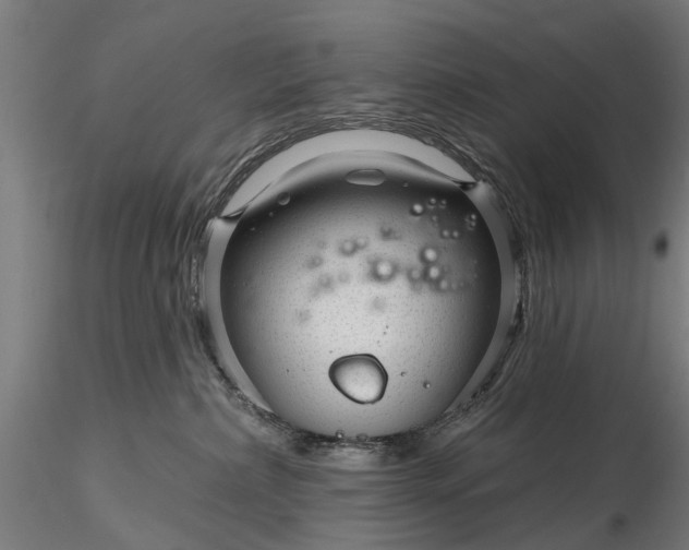 X0000116340236200912151335