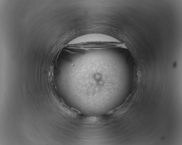 X0000116340237200912151335