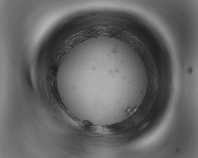 X0000116340239200912151335