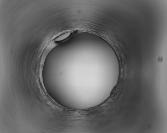 X0000116340241200912151334