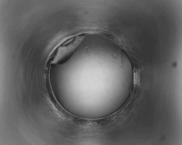 X0000116340243200912151334