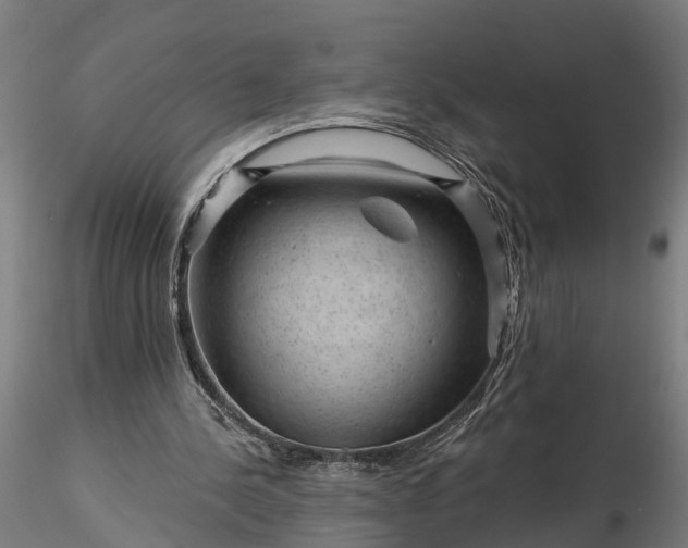 X0000116340244200912151334