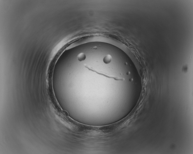 X0000116340246200912151334