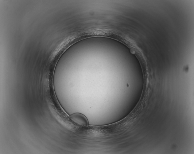 X0000116340250200912151334