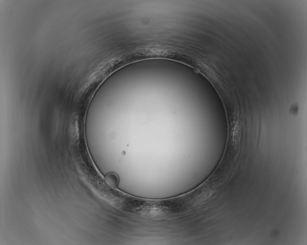 X0000116340254200912151334