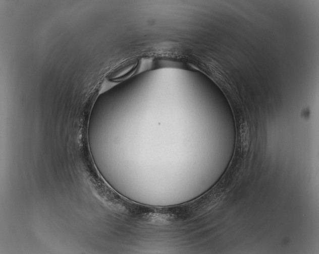 X0000116340255200912151335