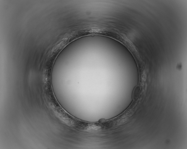 X0000116340257200912151335