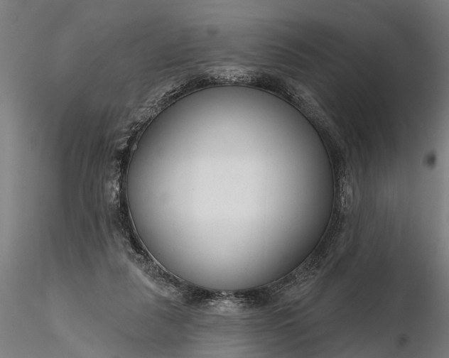 X0000116340259200912151335