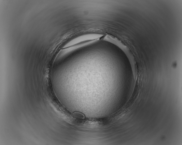 X0000116340260200912151335