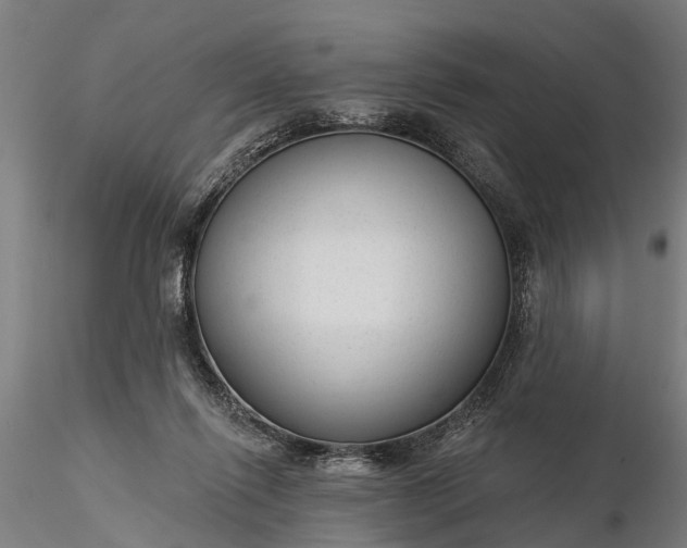 X0000116340262200912151335