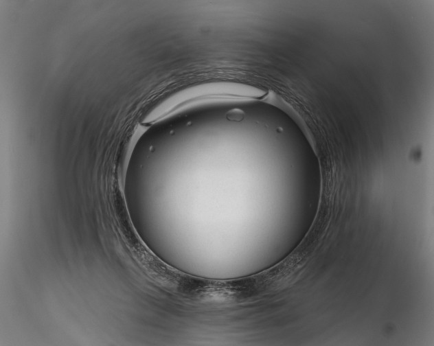 X0000116340263200912151335