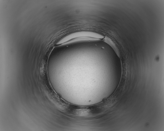 X0000116340266200912151335