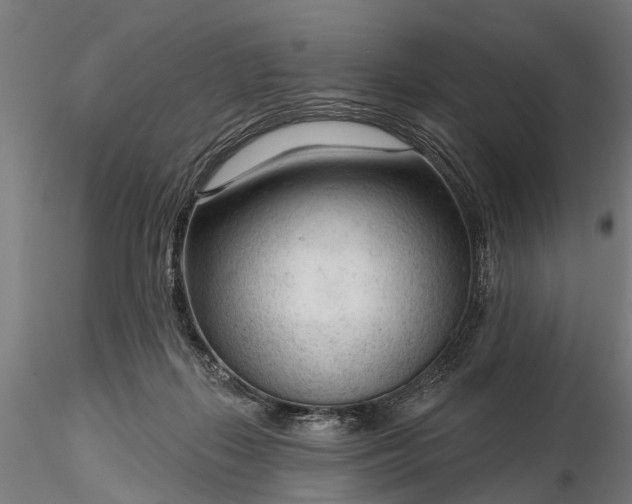 X0000116340267200912151335