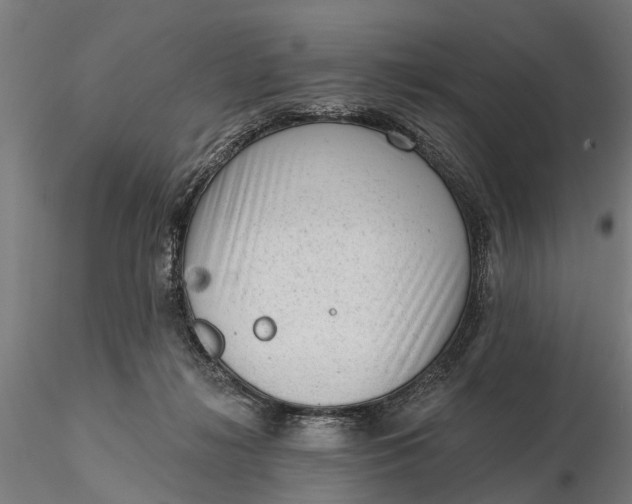 X0000116340268200912151335