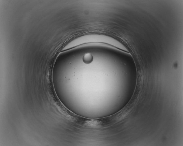 X0000116340269200912151335