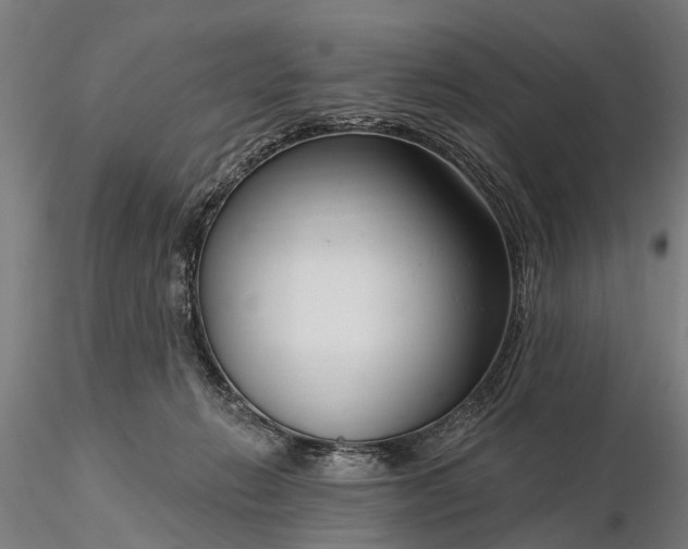 X0000116340270200912151335