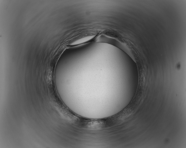 X0000116340274200912151335