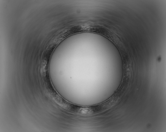 X0000116340275200912151335