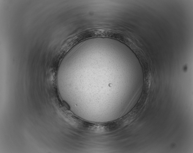 X0000116340276200912151335