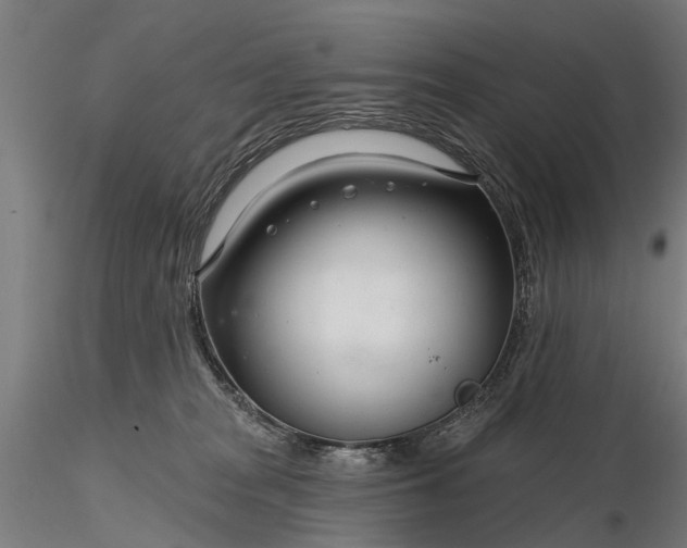 X0000116340277200912151335