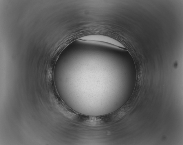 X0000116340278200912151335