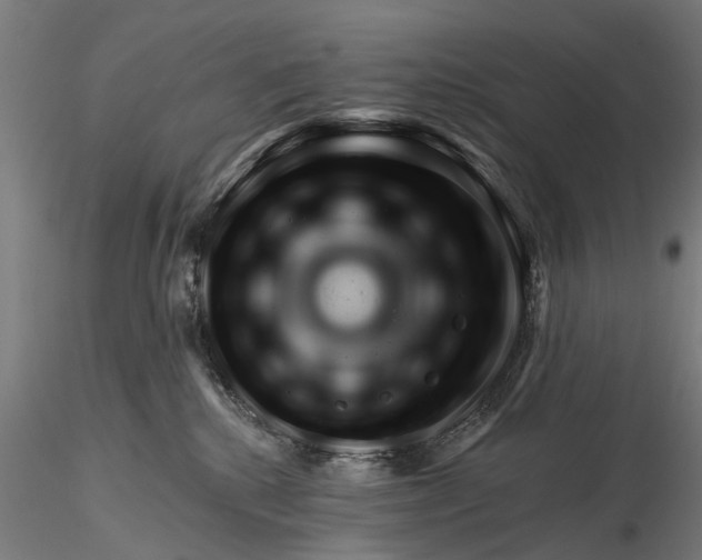 X0000116340280200912151335