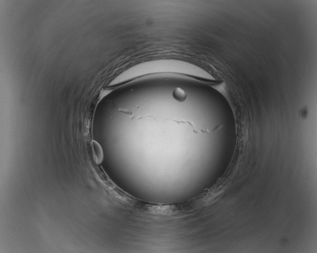 X0000116340281200912151335