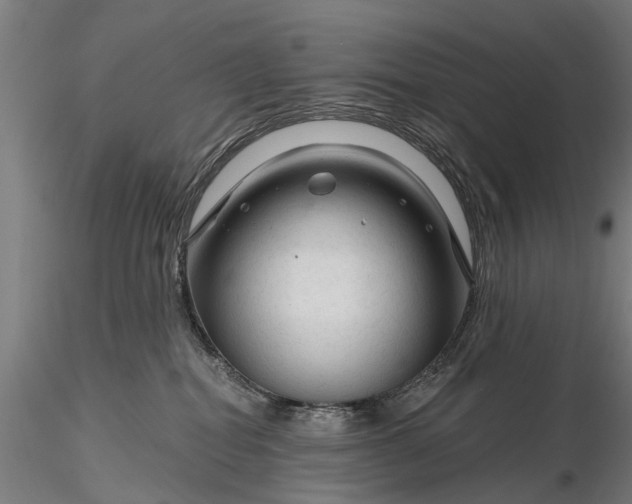 X0000116340282200912151335