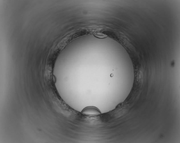 X0000116340283200912151335